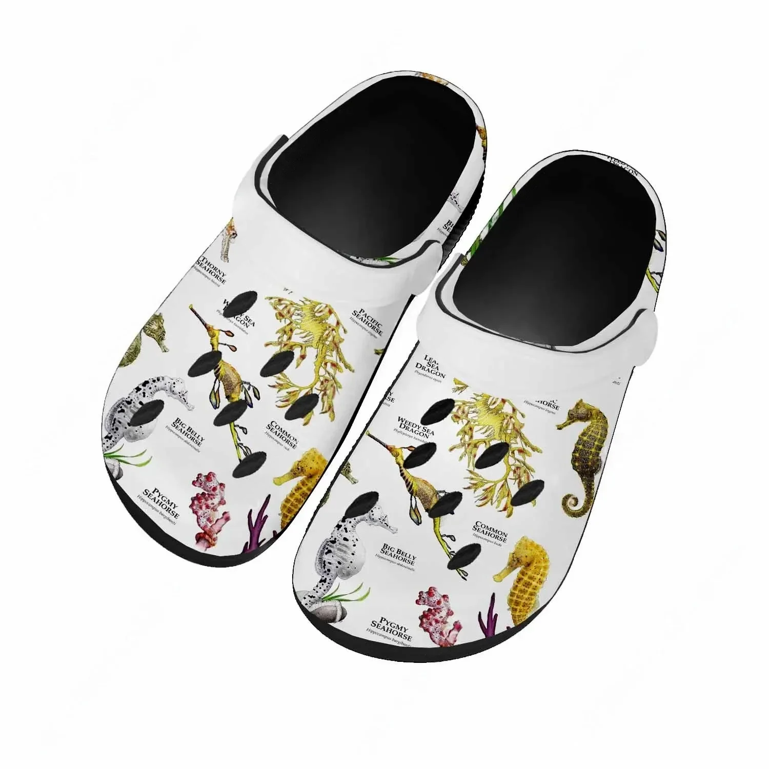 Seahorse Sandals Women Teenage - đánh giá và giá Water Shoes
